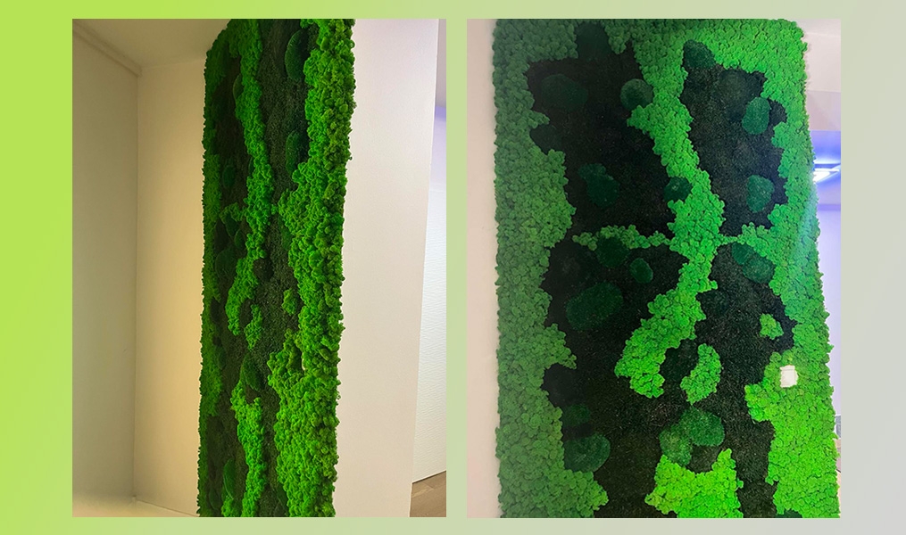 A természet harmóniája a falon – Miért hódít a vegyes zöldfal és a növényfal?